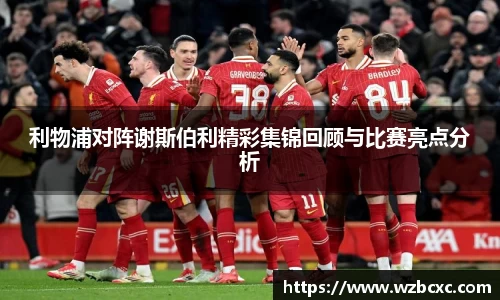 球速体育平台入口