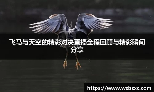 飞马与天空的精彩对决直播全程回顾与精彩瞬间分享